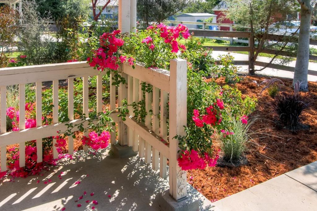 Serene Bungalow-Style Home In Point Reyes Station! Exterior photo